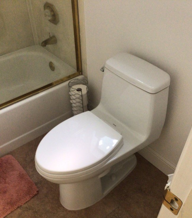 Toilet Repair